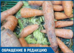 Прилавок с заплесневелыми овощами вывел из себя волгодончанку Прилавок с заплесневелыми овощами вывел из себя волгодончанку