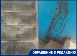 Волгодонцы месяцами вынуждены терпеть грязь и неприятный запах в подъезде на Ленина Волгодонцы месяцами вынуждены терпеть грязь и неприятный запах в подъезде на Ленина
