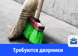В Волгодонске требуются дворники и уборщики лестничных клеток В Волгодонске требуются дворники и уборщики лестничных клеток