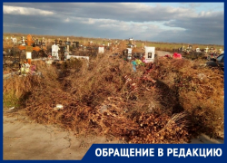 На кладбище №2 завалили мусором проходы и могилы На кладбище №2 завалили мусором проходы и могилы