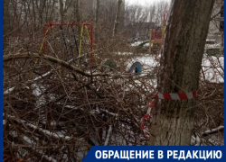 Третий день обрезанные ветки деревьев перекрывают дорогу во дворе МКД на Энтузиастов Третий день обрезанные ветки деревьев перекрывают дорогу во дворе МКД на Энтузиастов