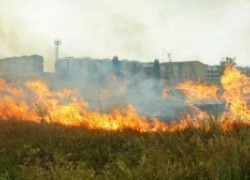В новом городе сгорело 5 гектаров сухостоя В новом городе сгорело 5 гектаров сухостоя