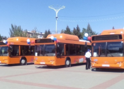 Волгодонск может остаться без новых газовых автобусов Волгодонск может остаться без новых газовых автобусов