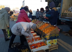 Продукты, саженцы и сувениры: в Волгодонске проходит ярмарка «выходного дня» Продукты, саженцы и сувениры: в Волгодонске проходит ярмарка «выходного дня»