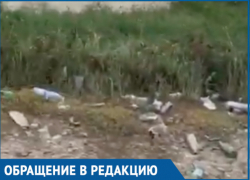 Свалка у спецпричала возмутила волгодонца Свалка у спецпричала возмутила волгодонца