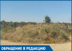 Горы мусора уже закрывают могилы, - волгодончанка Горы мусора уже закрывают могилы, - волгодончанка