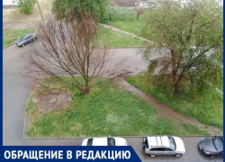 «Ждём пока дерево исчезнет естественным путем»: волгодонцы не могут добиться вырубки сухого дерева «Ждём пока дерево исчезнет естественным путем»: волгодонцы не могут добиться вырубки сухого дерева