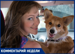 «Укус клеща может оказаться смертельным для животного»: Алена Семина об опасном заболевании «Укус клеща может оказаться смертельным для животного»: Алена Семина об опасном заболевании