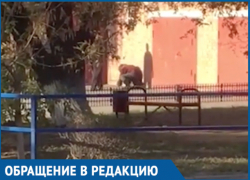 Волгодонец ради развлечения цинично пинал бомжа в живот Волгодонец ради развлечения цинично пинал бомжа в живот