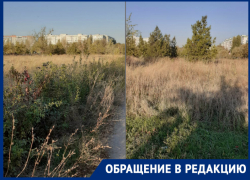 Состояние парка «Молодежный» вызывает массу возмущений у жителей Волгодонска Состояние парка «Молодежный» вызывает массу возмущений у жителей Волгодонска