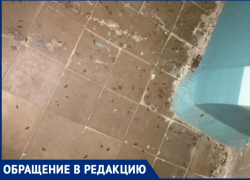 Полчища тараканов атаковали многоквартирные дома Волгодонска Полчища тараканов атаковали многоквартирные дома Волгодонска