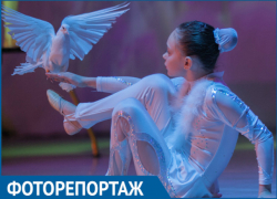 В Волгодонске прошла памятная дата «День белых журавлей» В Волгодонске прошла памятная дата «День белых журавлей»