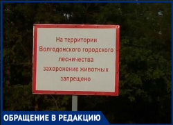 Волгодончанка просит городские власти организовать кладбище домашних животных Волгодончанка просит городские власти организовать кладбище домашних животных