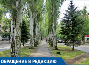 Волгодонцы обеспокоены возросшим количеством маргинальных районов в старой части города Волгодонцы обеспокоены возросшим количеством маргинальных районов в старой части города