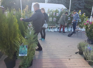В субботу площадь Победы в Волгодонске будет усеяна изобилием продуктов, саженцев и сувениров В субботу площадь Победы в Волгодонске будет усеяна изобилием продуктов, саженцев и сувениров