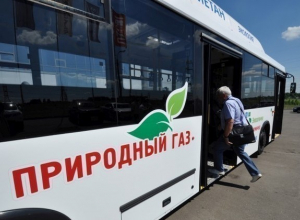 10% общественного транспорта Волгодонска планируют перевести на газ 10% общественного транспорта Волгодонска планируют перевести на газ