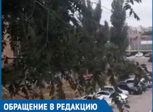Мы уже второй год всем домом провожаем незнакомых нам призывников, - жители Волгодонска Мы уже второй год всем домом провожаем незнакомых нам призывников, - жители Волгодонска