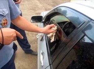 Волгодонских автомобилистов накажут за тонировку Волгодонских автомобилистов накажут за тонировку