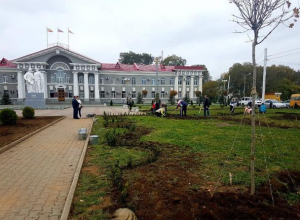 В Волгодонске высадили более 2000 деревьев и кустарников В Волгодонске высадили более 2000 деревьев и кустарников
