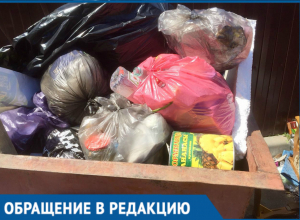 Бросайте мусор в свой контейнер, - предприниматели обратились к волгодонцам Бросайте мусор в свой контейнер, - предприниматели обратились к волгодонцам