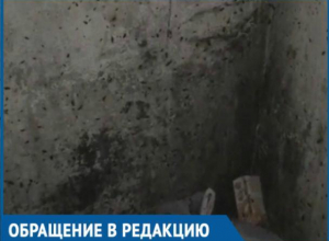 Туча мерзких тараканов заполонила подъезд на Строителей Туча мерзких тараканов заполонила подъезд на Строителей