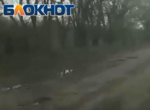 Я плачу налог за машину 12 000 рублей и хочу ездить по хорошим дорогам, - житель Цимлянска Я плачу налог за машину 12 000 рублей и хочу ездить по хорошим дорогам, - житель Цимлянска