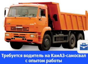 Требуется водитель на КамАЗ-самосвал с опытом работы Требуется водитель на КамАЗ-самосвал с опытом работы