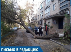 Летающие тарелки и падающие деревья: как Волгодонск переживает ураганный ветер Летающие тарелки и падающие деревья: как Волгодонск переживает ураганный ветер