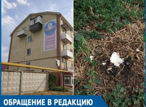Я попала под обстрел яйцами, - волгодончанку с балкона закидали куриными яйцами Я попала под обстрел яйцами, - волгодончанку с балкона закидали куриными яйцами