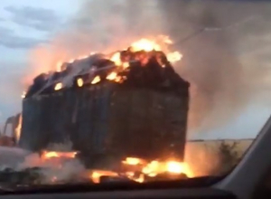 КАМАЗ с сеном вспыхнул на трассе Волгодонск-Зимовники КАМАЗ с сеном вспыхнул на трассе Волгодонск-Зимовники