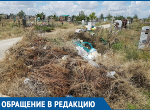 Пусть убирают мусор по человечески, как надо,- волгодончанка Мария Неведрова Пусть убирают мусор по человечески, как надо,- волгодончанка Мария Неведрова