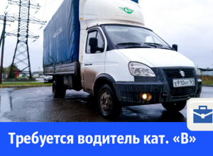 В Волгодонске на работу приглашают непьющего водителя категории «В» В Волгодонске на работу приглашают непьющего водителя категории «В»