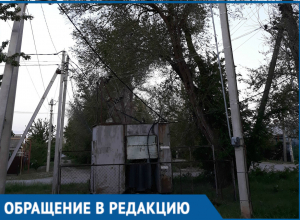 Жители Красного Яра называют «бомбой замедленного действия"опасное дерево Жители Красного Яра называют «бомбой замедленного действия"опасное дерево