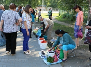 В Волгодонске на 675 тысяч рублей оштрафовали тех, кто торгует в несанкционированных местах В Волгодонске на 675 тысяч рублей оштрафовали тех, кто торгует в несанкционированных местах