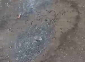 Текущая из под асфальта вода затопила проезжую часть на Ленина Текущая из под асфальта вода затопила проезжую часть на Ленина