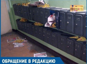 Захламивший многоквартирный дом разносчик рекламы вызвал гнев волгодонцев Захламивший многоквартирный дом разносчик рекламы вызвал гнев волгодонцев