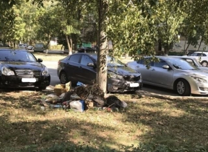 В Волгодонске во дворе по улице Энтузиастов устроили свалку под деревцем В Волгодонске во дворе по улице Энтузиастов устроили свалку под деревцем