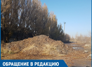 Администрация Волгодонска занимается беспределом, - возмущенный мусорной свалкой читатель Администрация Волгодонска занимается беспределом, - возмущенный мусорной свалкой читатель