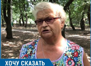 Наш любимый сквер «Дубравушка» гибнет из-за ужасных ворон, - волгодонцы о сотнях ворон Наш любимый сквер «Дубравушка» гибнет из-за ужасных ворон, - волгодонцы о сотнях ворон