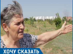 Мне стыдно перед погибшими, - пенсионерка из Волгодонска о состоянии аллеи Победы в парке «Молодежный» Мне стыдно перед погибшими, - пенсионерка из Волгодонска о состоянии аллеи Победы в парке «Молодежный»