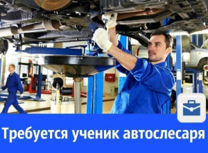 На СТО требуется ученик автослесаря по ремонту ходовой На СТО требуется ученик автослесаря по ремонту ходовой