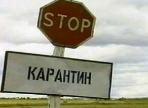 Спустя полгода в Цимлянском районе сняли карантин по бруцеллезу Спустя полгода в Цимлянском районе сняли карантин по бруцеллезу
