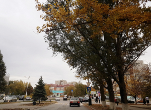 Облачно и достаточно тепло будет сегодня в Волгодонске Облачно и достаточно тепло будет сегодня в Волгодонске