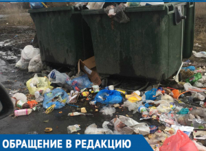 «Рождественская» помойка стала страшным кошмаром для жителей Волгодонска «Рождественская» помойка стала страшным кошмаром для жителей Волгодонска