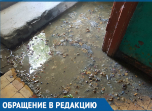 Канализация затапливает подъезд в Волгодонске Канализация затапливает подъезд в Волгодонске