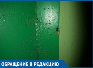 Подъезд дома №45 по проспекту Строителей стал похож на тараканью ферму, - волгодонцы Подъезд дома №45 по проспекту Строителей стал похож на тараканью ферму, - волгодонцы