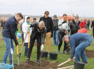 «Посади свое дерево!»: в Волгодонске пройдет День древонасаждения «Посади свое дерево!»: в Волгодонске пройдет День древонасаждения
