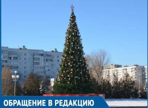 Стала известна дата установки и украшения главных новогодних елок в Волгодонске Стала известна дата установки и украшения главных новогодних елок в Волгодонске