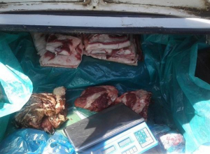Опасное мясо свинины продавали из багажника на стихийном рынке Волгодонска Опасное мясо свинины продавали из багажника на стихийном рынке Волгодонска