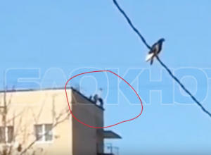 Смертельно опасные игры детей в Волгодонске попали на видео Смертельно опасные игры детей в Волгодонске попали на видео